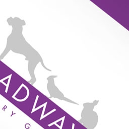 Broadway Veterinary Group shop signage design